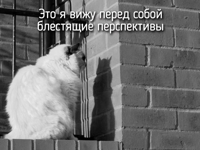 16330760-4-650-53c212670e-1475244420.jpg